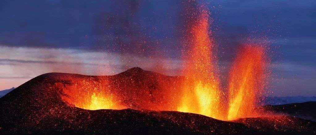 生态力量爆发，在疫情最需要的时候