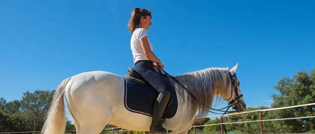 华为云全球化的“盛装舞步”