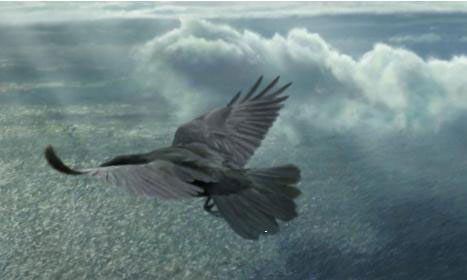 为鲲鹏，新华三与华为续前缘