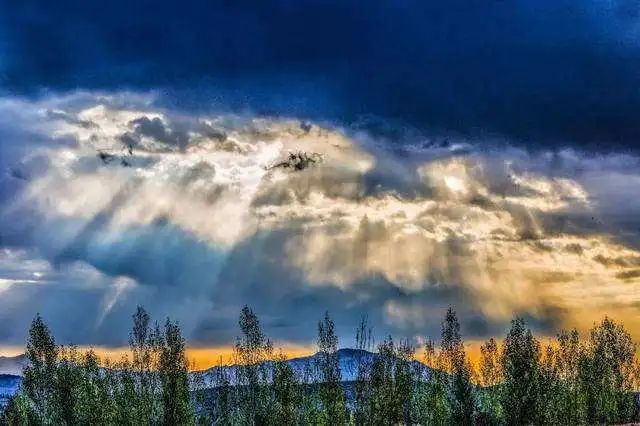 金蝶云·苍穹平台养成记